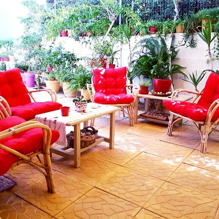 Zante Dahlia מלון לגאנאס