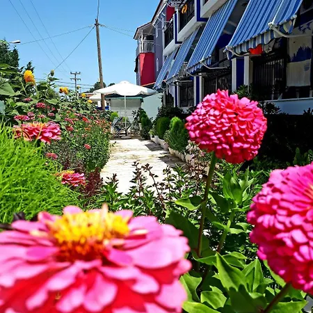 Zante Dahlia 3* Laganas